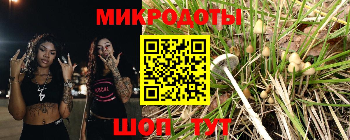 Галлюциногенные грибы прущие грибы Северск