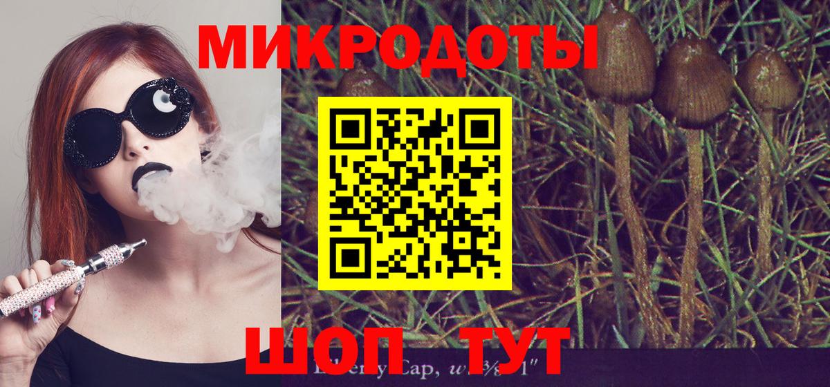 Псилоцибиновые грибы мухоморы  Вход с VPN  магазин продажи наркотиков  Северск 